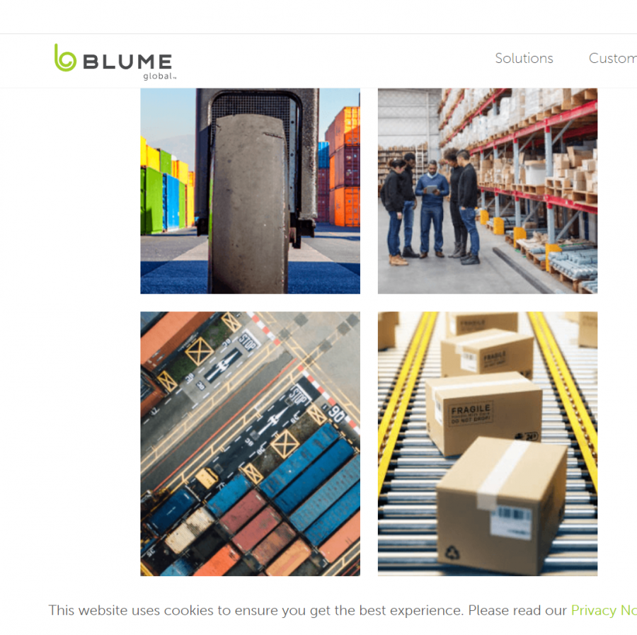 photo of the blume global website