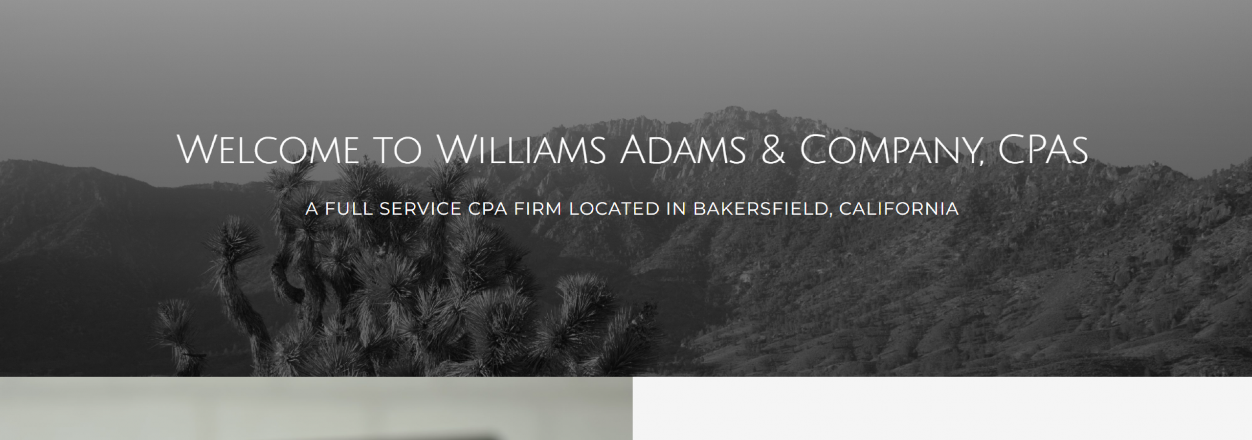 photo of williams adams website