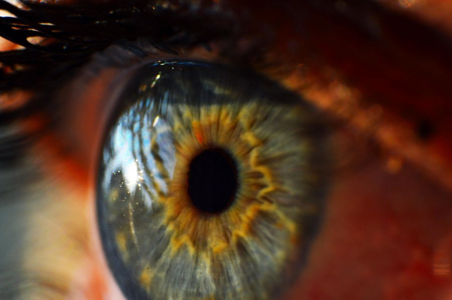 close up of human eye close up of human eye